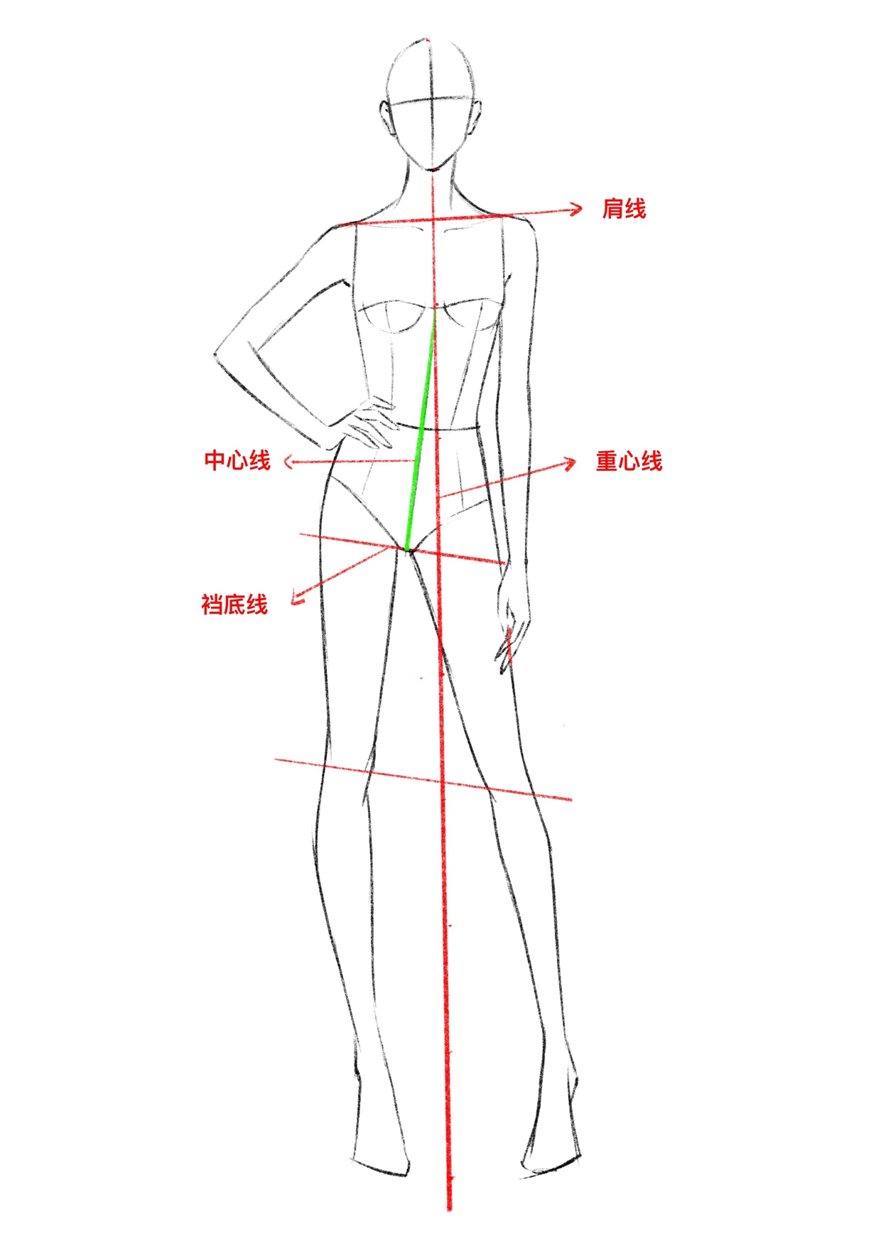 效果图服装设计手绘人体基础比例动态