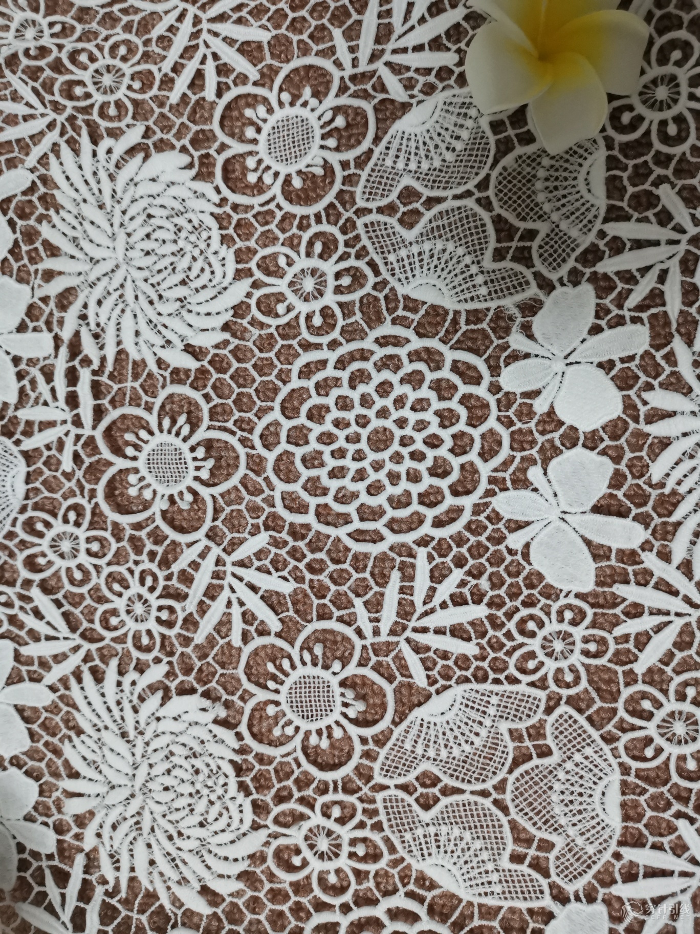 网布刺绣绣花蕾丝花边女装婚纱礼服面料